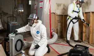 Mold remediation services in Lansing, MI for water damage cleanup and indoor restoration